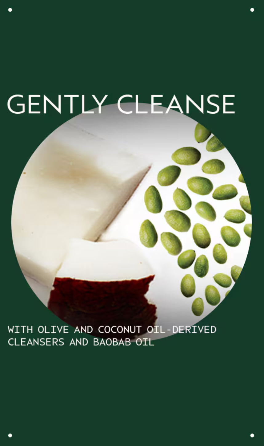 Aveda Botanical Kinetics all sensitive cleanser